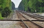 Deer on the Tracks